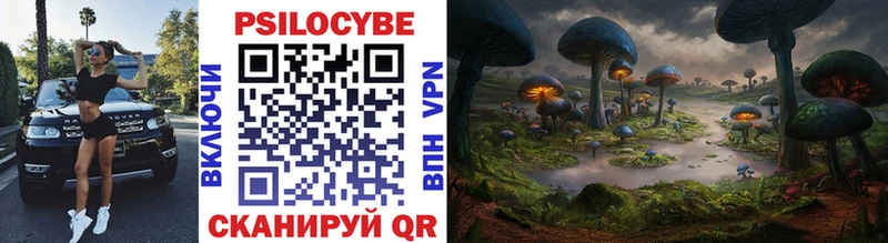 Купить  Мантурово  Псилоцибиновые грибы MAGIC MUSHROOMS 